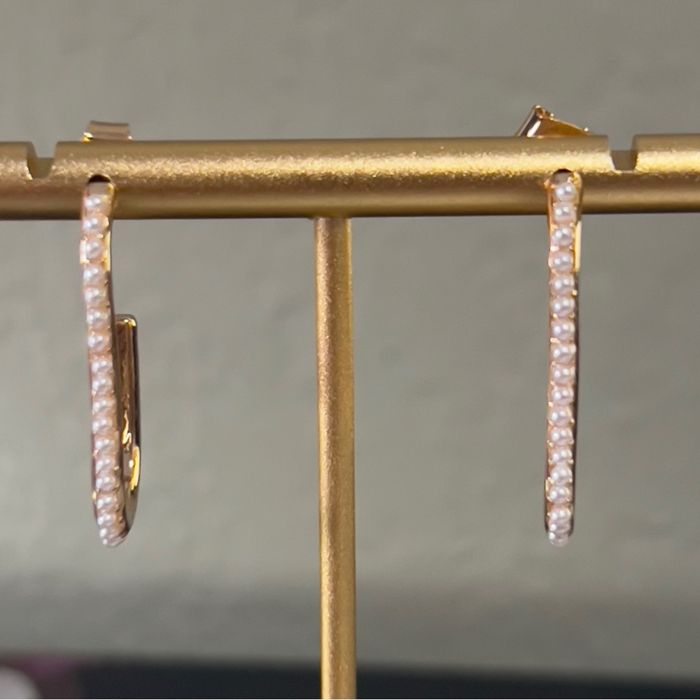 Francesca’s beautiful earrings - Picture 4 of 5